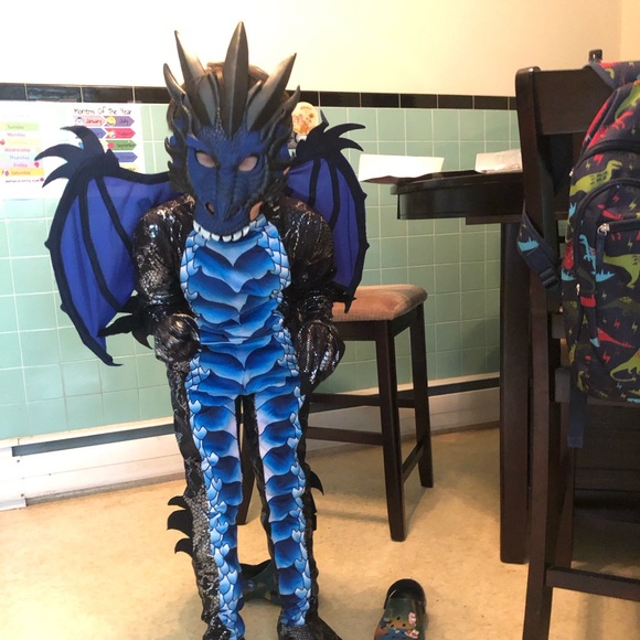 Dragon costume - Picture 1 of 7